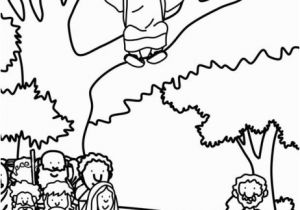 Free Coloring Pages for Zacchaeus Zacchaeus E Down Coloring Page Crafting the Word