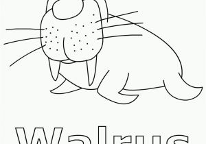 Free Coloring Pages Of Arctic Animals Arctic Coloring Page Coloring Home