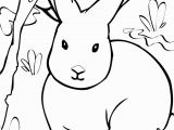 Free Coloring Pages Of Arctic Animals Arctic Hare Clip Art