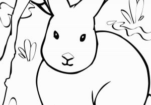 Free Coloring Pages Of Arctic Animals Arctic Hare Clip Art