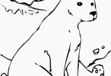 Free Coloring Pages Of Arctic Animals Free Printable Arctic Animals Coloring Pages Coloring Home