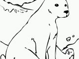 Free Coloring Pages Of Arctic Animals Free Printable Arctic Animals Coloring Pages Coloring Home