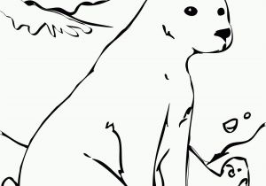 Free Coloring Pages Of Arctic Animals Free Printable Arctic Animals Coloring Pages Coloring Home