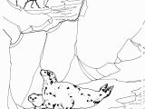 Free Coloring Pages Of Arctic Animals Free Printable Arctic Animals Coloring Pages Coloring Home