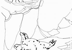 Free Coloring Pages Of Arctic Animals Free Printable Arctic Animals Coloring Pages Coloring Home