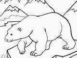 Free Coloring Pages Of Arctic Animals Polar Arctic Animals Coloring Pages Sketch Coloring Page