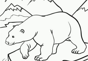 Free Coloring Pages Of Arctic Animals Polar Arctic Animals Coloring Pages Sketch Coloring Page