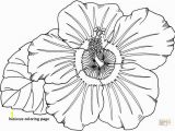 Free Coloring Pages Of Hawaiian Flowers Hibiscus Coloring Page Luxury Hawaiian Flower Coloring Page