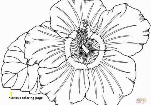 Free Coloring Pages Of Hawaiian Flowers Hibiscus Coloring Page Luxury Hawaiian Flower Coloring Page