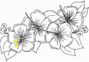 Free Coloring Pages Of Hawaiian Flowers Lovely Hawaiian Flower Free