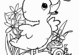 Free Coloring Pages Of Leprechauns Incredible Coloring Pages Bird Pdf Picolour