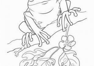 Free Coloring Pages Of Puerto Rico Frogs to Color Puerto Rico Coloring Pages Kids Coloring