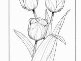 Free Coloring Pages Of Tulips the Language Of Flowers Coloring Book Dover Nature Coloring