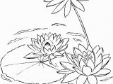 Free Coloring Pages Of Tulips Water Lily On A Lake