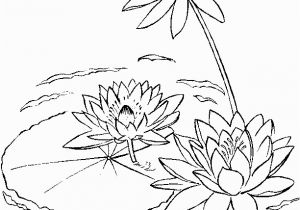 Free Coloring Pages Of Tulips Water Lily On A Lake