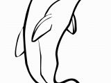 Free Dolphin Coloring Pages to Print Dolphin Coloring Pages