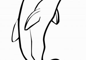 Free Dolphin Coloring Pages to Print Dolphin Coloring Pages