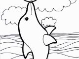 Free Dolphin Coloring Pages to Print Dolphin Template Animal Templates