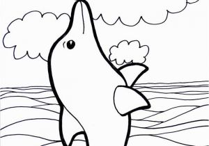 Free Dolphin Coloring Pages to Print Dolphin Template Animal Templates