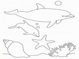 Free Dolphin Coloring Pages to Print Free Printable Dolphin Coloring Pages for Kids
