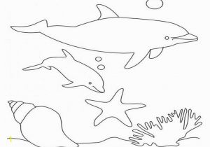 Free Dolphin Coloring Pages to Print Free Printable Dolphin Coloring Pages for Kids