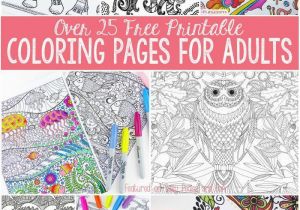 Free Easy to Print Coloring Pages for Adults Free Coloring Pages for Adults Adult Coloring Fun