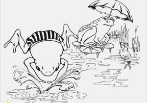 Free Frog Coloring Pages for Kids Free Frog Coloring Book Pages for Adults at Coloring Pages