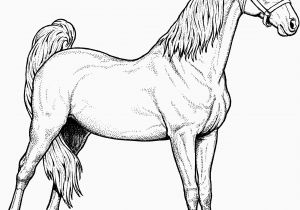 Free Horse Coloring Pages Horse Coloring Pages Fresh Free Coloring Pages Elegant Crayola Pages