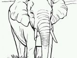 Free Indian Coloring Pages Indian Coloring Pages Best Elephants to Color Elephants Coloring