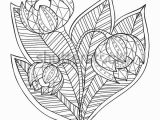 Free Nature Coloring Pages for Adults Hand Drawn Artistic Ethnic ornamental Patterned