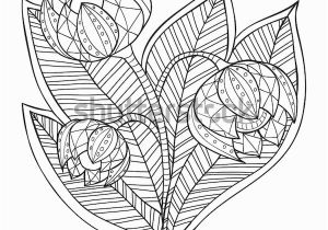 Free Nature Coloring Pages for Adults Hand Drawn Artistic Ethnic ornamental Patterned