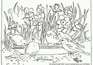 Free Nature Coloring Pages for Adults Image Result for Lakes and Ponds Coloring Page