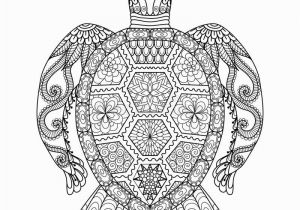 Free Ocean Life Coloring Pages Drawing Zentangle Turtle for Coloring Page Shirt Design