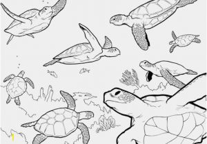 Free Ocean Life Coloring Pages Lost Ocean Coloring Book the Perfect Pics Lost Ocean