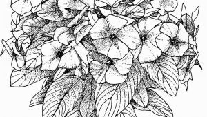 Free Online Coloring Pages for Adults Flowers Flower Coloring Pages for Adults Best Coloring Pages for