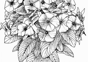 Free Online Coloring Pages for Adults Flowers Flower Coloring Pages for Adults Best Coloring Pages for