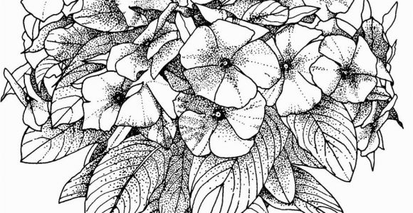 Free Online Coloring Pages for Adults Flowers Flower Coloring Pages for Adults Best Coloring Pages for