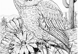 Free Owl Coloring Pages for Adults 10 Difficult Owl Coloring Page for Adults