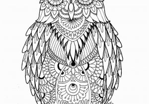Free Owl Coloring Pages for Adults Artist Między Kreskami