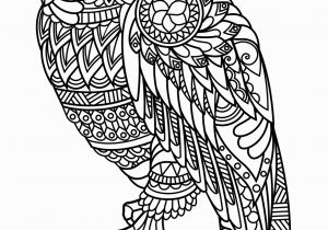 Free Owl Coloring Pages for Adults Free Book Owl Owls Adult Coloring Pages