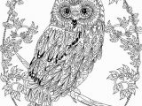 Free Owl Coloring Pages for Adults Owl Coloring Pages for Adults Free Detailed Owl Coloring