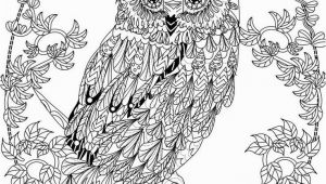 Free Owl Coloring Pages for Adults Owl Coloring Pages for Adults Free Detailed Owl Coloring