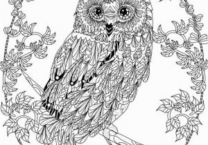 Free Owl Coloring Pages for Adults Owl Coloring Pages for Adults Free Detailed Owl Coloring