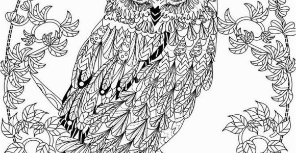 Free Owl Coloring Pages for Adults Owl Coloring Pages for Adults Free Detailed Owl Coloring