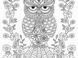 Free Owl Coloring Pages for Adults Owl Coloring Pages for Adults Free Detailed Owl Coloring