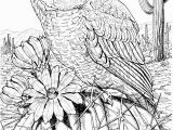 Free Owl Coloring Pages to Print Free Owl Coloring Pages