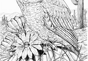 Free Owl Coloring Pages to Print Free Owl Coloring Pages