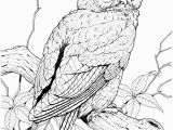 Free Owl Coloring Pages to Print Free Owl Coloring Pages