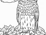 Free Owl Coloring Pages to Print Free Printable Owl Coloring Pages for Kids