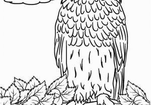 Free Owl Coloring Pages to Print Free Printable Owl Coloring Pages for Kids